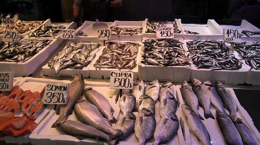 Palamut gidiyor, hamsi geliyor! Karadeniz'de balık sezonunda yeni dönem başladı