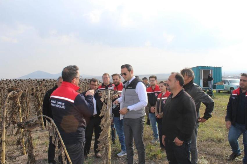 Kars’ta alternatif ürün olarak yetiştirildi! İlk hasadı yapıldı: Yeni gelir kapısı oldu