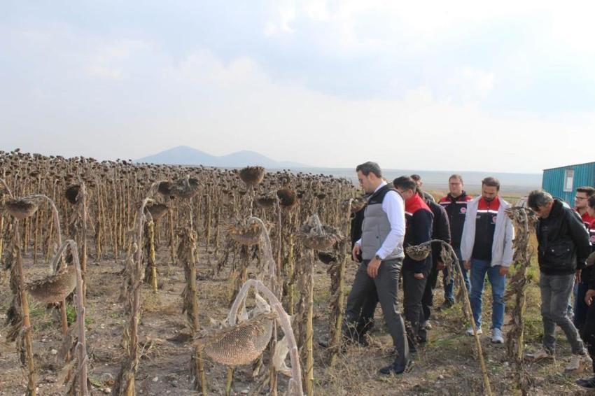 Kars’ta alternatif ürün olarak yetiştirildi! İlk hasadı yapıldı: Yeni gelir kapısı oldu
