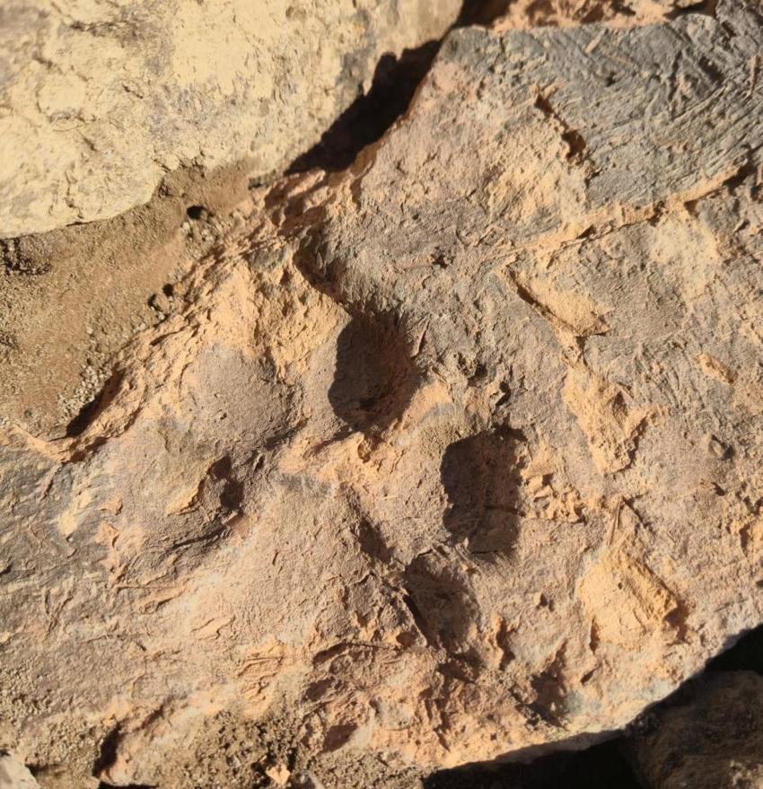 Kalp şeklindeki Tavşanlı Höyük'te 4 bin yıllık keşif: Yıkılan binanın molozları arasından çıktı: 'Binlerce yıl böyle korunmuş'
