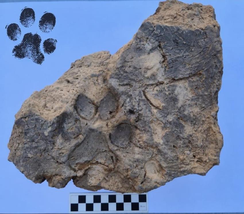 Kalp şeklindeki Tavşanlı Höyük'te 4 bin yıllık keşif: Yıkılan binanın molozları arasından çıktı: 'Binlerce yıl böyle korunmuş'