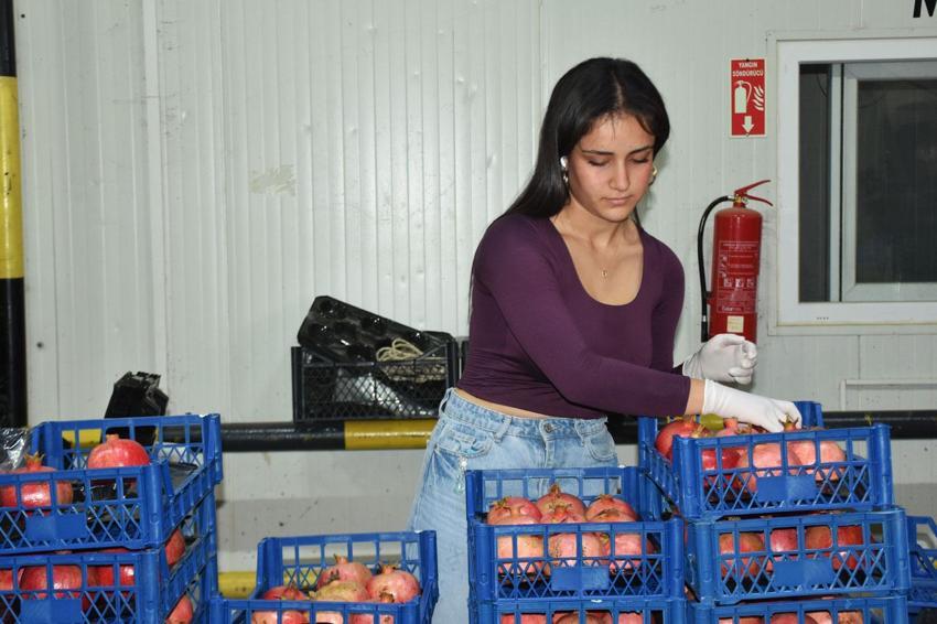 Antalya, Isparta ve Burdur'un 9 aylık yaş meyve ihracatı yüzde 53,5 arttı