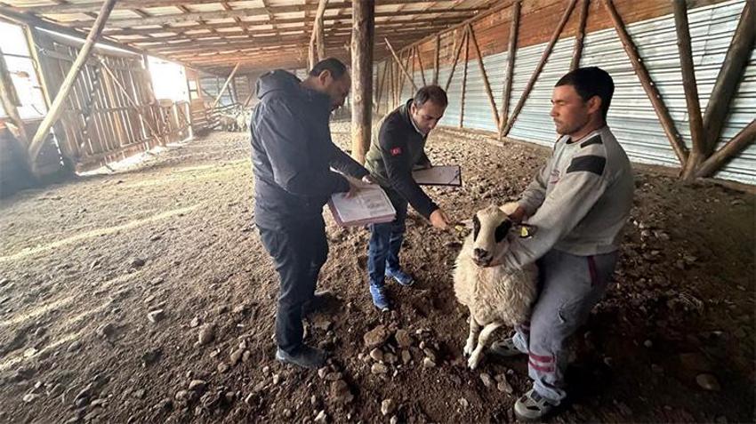 Bolu’da orman köylüsüne müjde! Devlet yüzde 20 hibe ile hayata geçirdi