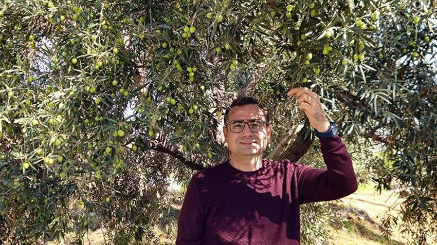 Sadece Antalya'da yetişiyor! Litresi servet değerinde: Tescilli zeytinyağında 10 bin tonluk rekor!