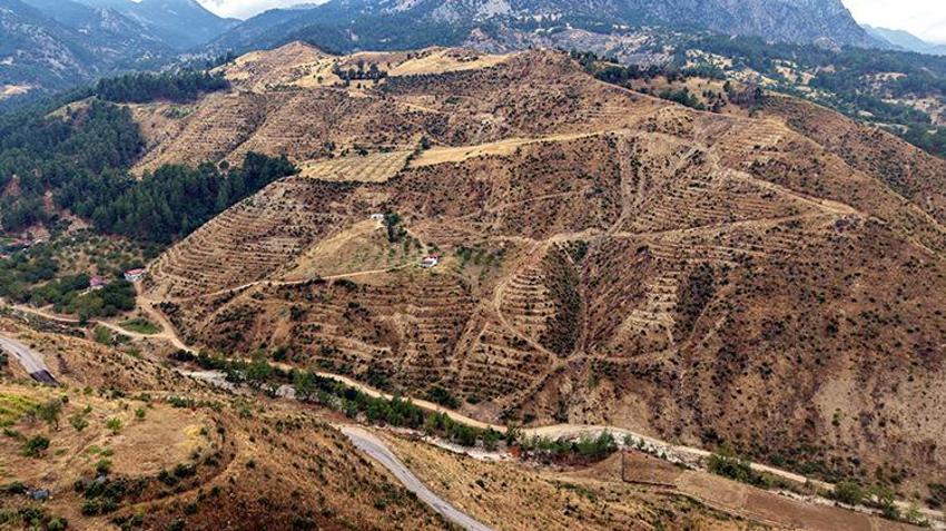 Kahramanmaraş'ta şakalaşırken 92 hektar orman yok olmuştu! Eski haline 10 yıl sonra dönecek