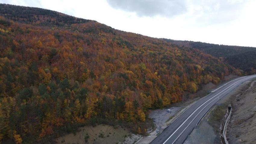 Bolu Mudurnu yolu sonbahar manzaraları: Renk cümbüşü yaşanan ormanlar havadan görüntülendi!
