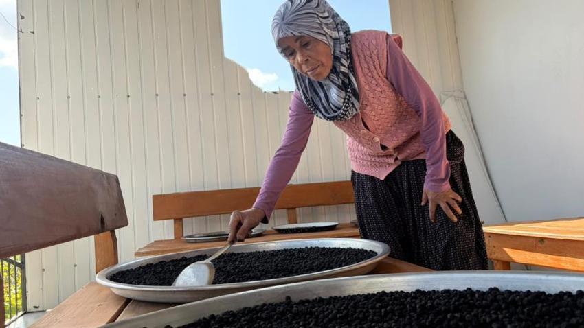 Oğlunun tavsiyesiyle başladı, yarım kilosunu 400 liraya satıyor! 'Bilen 5 kilodan aşağı almıyor'