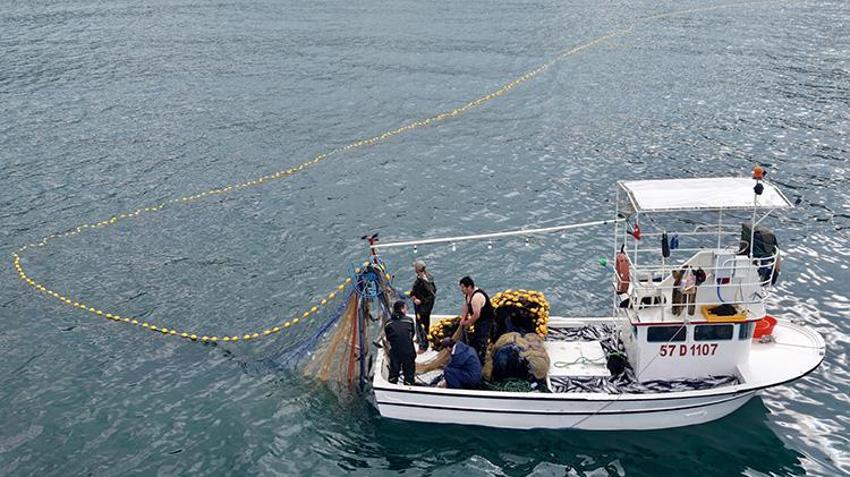 Sinop’ta 1 kiloluk dev palamutlar tezgahlarda rekor fiyata geriledi!