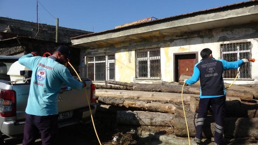 Gürcistan'dan gelip Trabzon'u esir aldı! Köylüler kara kara düşünüyor, hepsini yok ediyor