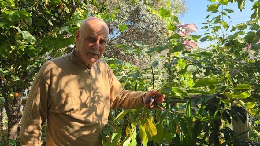 Meksika, Japonya, ABD'den Samsun'a! Emekli öğretmen bavulunda getirdi, servet çıktı