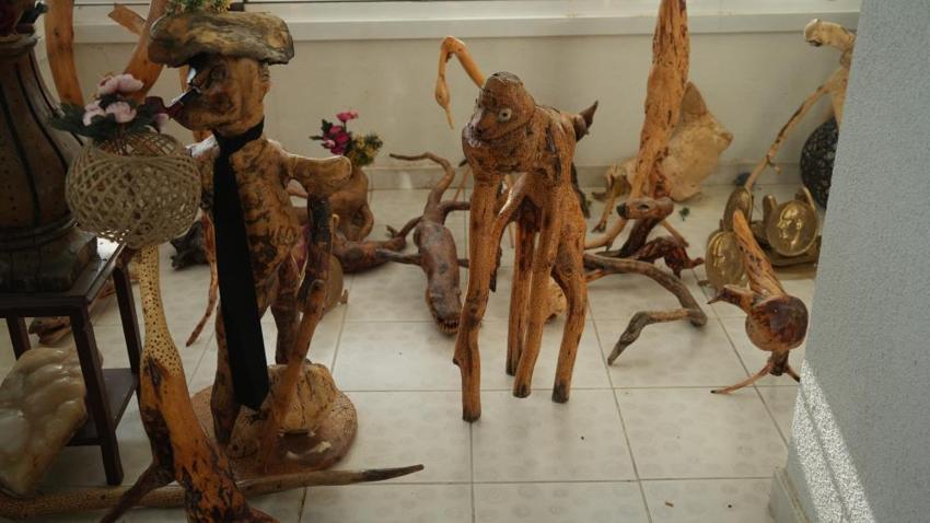 Bahçedeki ağacı dinozora benzetti, hayatı değişti: Doğanın çöpe attıklarını sanat eserine dönüştürdü! 750 eserini Türkiye'ye bağışlıyor