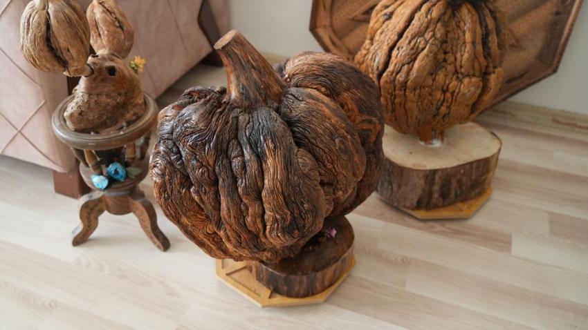 Bahçedeki ağacı dinozora benzetti, hayatı değişti: Doğanın çöpe attıklarını sanat eserine dönüştürdü! 750 eserini Türkiye'ye bağışlıyor
