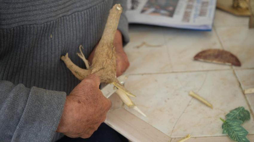 Bahçedeki ağacı dinozora benzetti, hayatı değişti: Doğanın çöpe attıklarını sanat eserine dönüştürdü! 750 eserini Türkiye'ye bağışlıyor