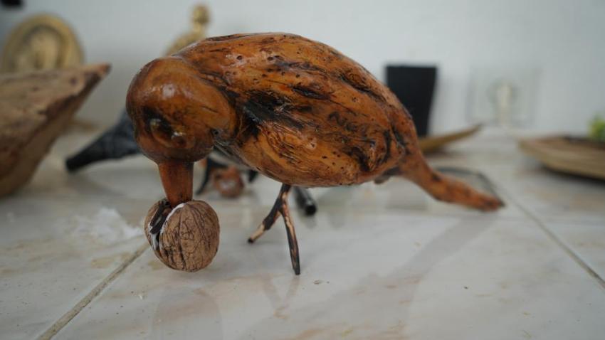 Bahçedeki ağacı dinozora benzetti, hayatı değişti: Doğanın çöpe attıklarını sanat eserine dönüştürdü! 750 eserini Türkiye'ye bağışlıyor