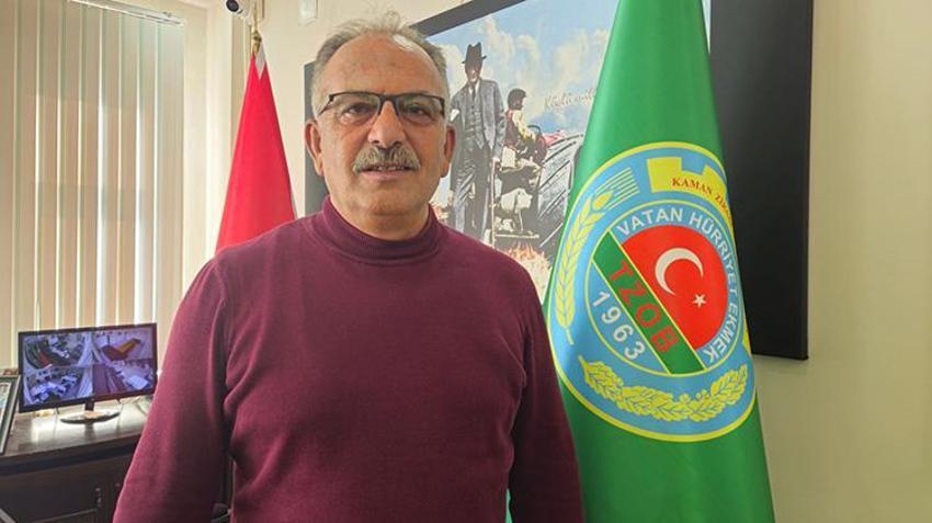 Rekolte yüzde 50 çakıldı derken rekor kırdı: Coğrafi işaretli Kaman Cevizi yurt dışından sipariş yağıyor, kilosu 400 TL'den satılıyor!