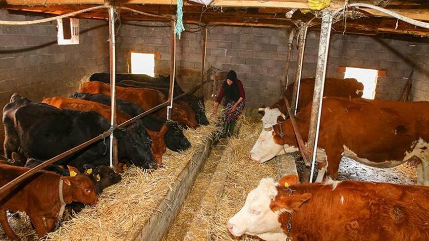 Fabrikadaki işini bıraktı, devlet desteğiyle kendi işini kurdu! Herkes artık ona 'Hanımağa' diyor