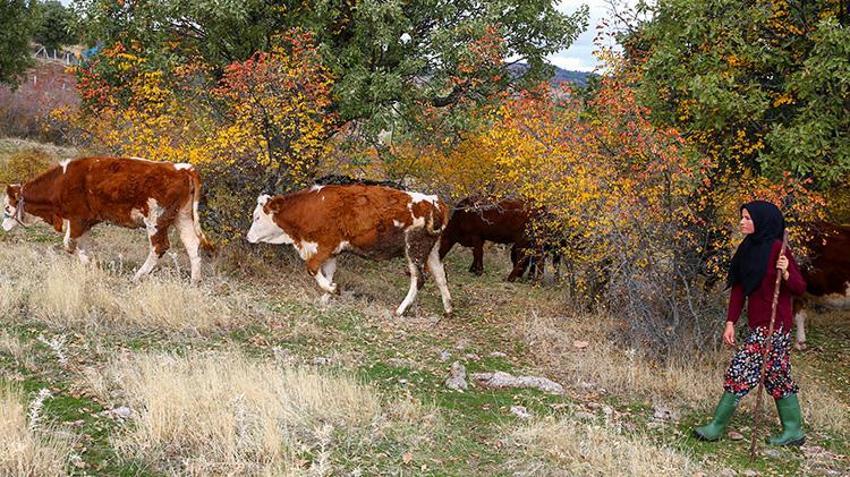 Fabrikadaki işini bıraktı, devlet desteğiyle kendi işini kurdu! Herkes artık ona 'Hanımağa' diyor