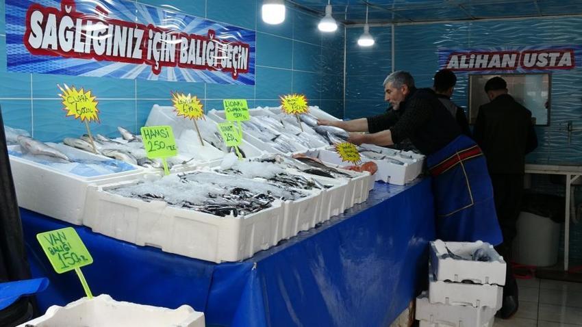 Palamut göç etti, inci kefalına talep patladı: Kilosu geçen yılla aynı fiyata satılıyor!