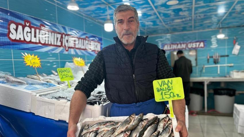 Palamut göç etti, inci kefalına talep patladı: Kilosu geçen yılla aynı fiyata satılıyor!