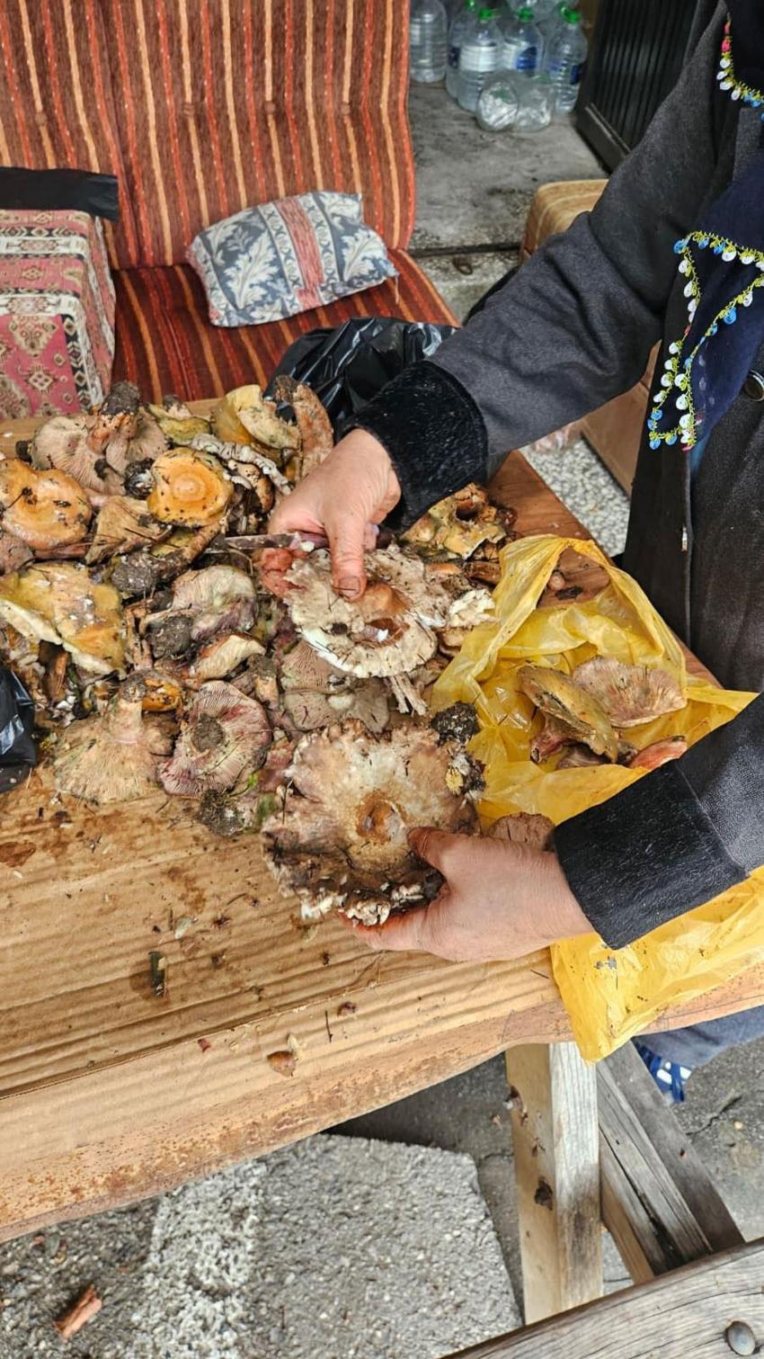 Yağmurlarının ardından Andırın dağlarında bereketli günler yaşanıyor!