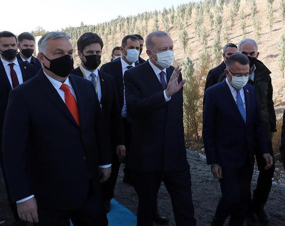 Cumhurbaşkanı Erdoğan: Türkiye, ağaçlandırma çalışmalarında Avrupada birinci sırada